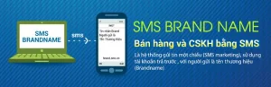 brand sms marketing